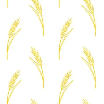 Wheat spikelets, vector seamless pattern. Outline drawn in sketch style. Autu Stock Illustration