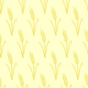 Wheat spikelets, vector seamless pattern. Outline drawn in sketch style. Autu 스톡 일러스트