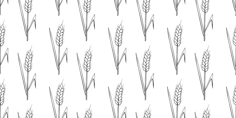 Wheat spikelets, vector seamless pattern. Black outline drawn in sketch style Stock Illustration