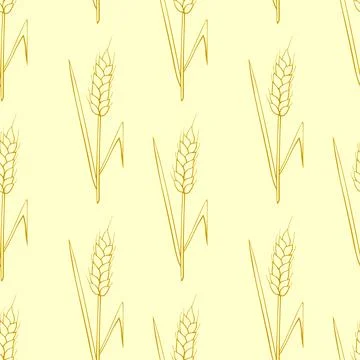 Wheat spikelets, vector seamless pattern in doodle style, isolated. Design of Stock Illustration