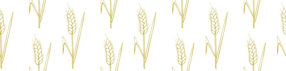 Wheat spikelets, vector seamless pattern. Outline drawn in sketch style isola Stock Illustration