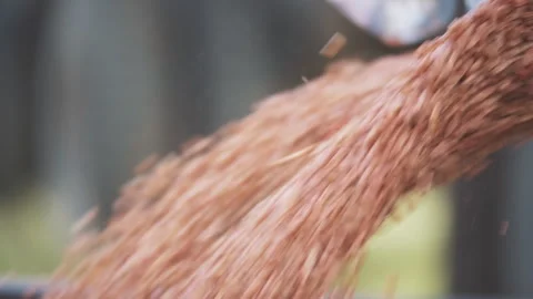 Wheat spills out of the combine Stock Footage 245683422