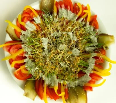 Wheat sprouts salad Stock Photos