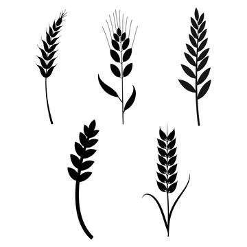 Wheat Stalk Silhouettes Stock Illustration