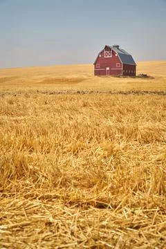 Wheat Stubble and Red Barn vertical 写真素材