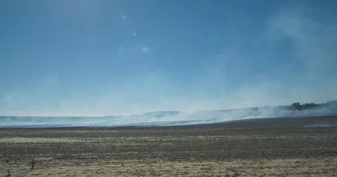 Wheat stubble burning with smoke in sky Stock Footage 88460635