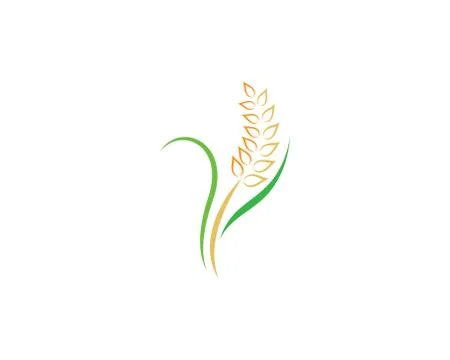 Wheat symbol vector icon illustration Stock Illustration