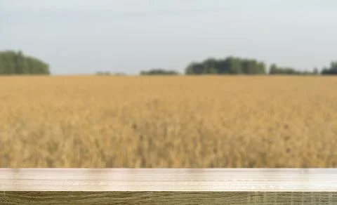 Wheat table background. Empty wooden table on the background of a summer gold Foto stock