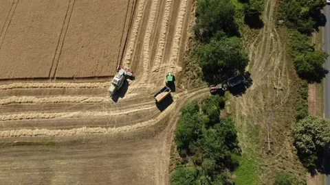 Wheat threshing aerial view Stock Footage 220247743