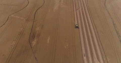Wheat truck driving through the fields Stock Footage 124856973