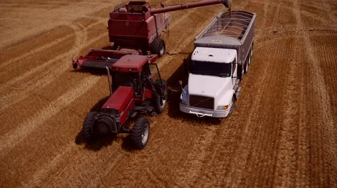 Wheat Unloading - Aerial view, Midwest USA Stock Footage 62744548