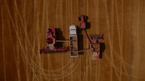 Wheat Unloading - Aerial view, Midwest USA Stock Footage 62744838