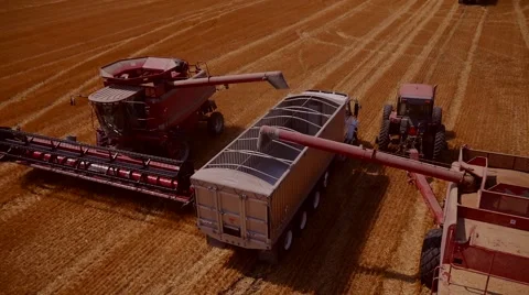 Wheat Unloading - Aerial view, Midwest USA Stock Footage 62744841