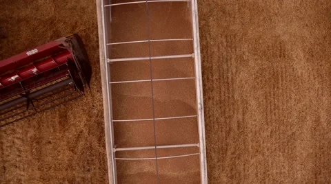 Wheat Unloading - Aerial view, Midwest USA Stock Footage 62744936
