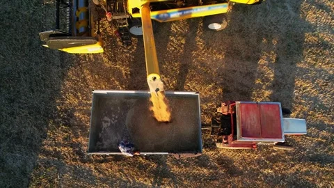 Wheat Unloading Stock Footage 340779287