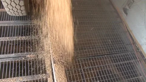 Wheat unloading into the grain tank Stock-Footage 56517467