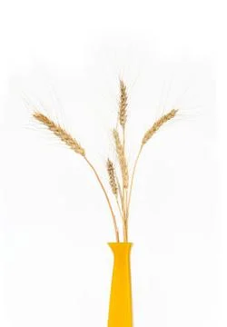 Wheat in vase Stock Photos