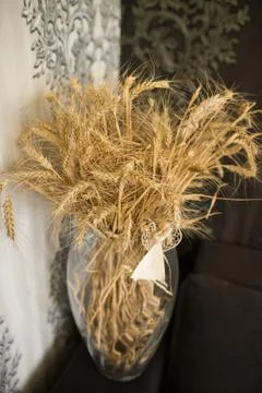 Wheat in a vase Stock Photos