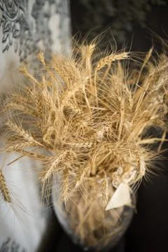 Wheat in a vase Stock Photos