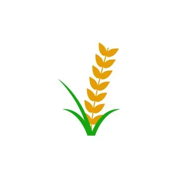Wheat vector design template illustration Stock Illustration