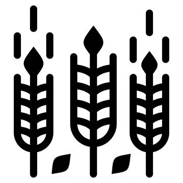 Wheat Vector Icon Design Illustration Stock Illustration