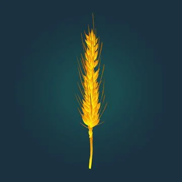 Wheat vector illustration on blank background Stock Illustration