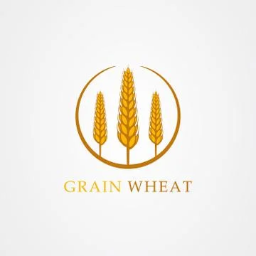 Wheat vector illustration isolated on white background Illustrazione stock