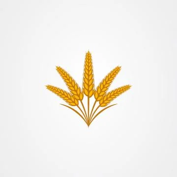Wheat vector illustration isolated on white background Stock Illustration