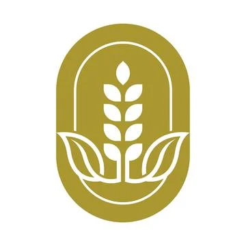 Wheat vector logo template design Stock Illustration