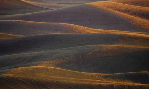 Wheat Wave Fotos de archivo