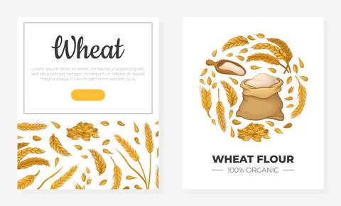 Wheat web pages set. Bakery and pastry shop, organic healthy products mobile Stock Illustration