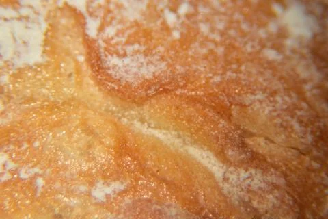 Wheat white bread close up 스톡 사진
