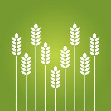 Wheat white icon Illustrazione stock