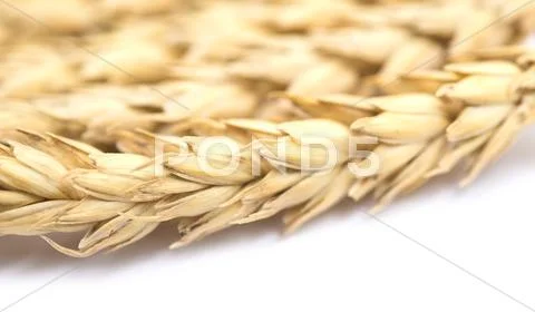 Wheat on white Stock Photos