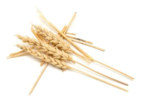 Wheat on white Stock Photos