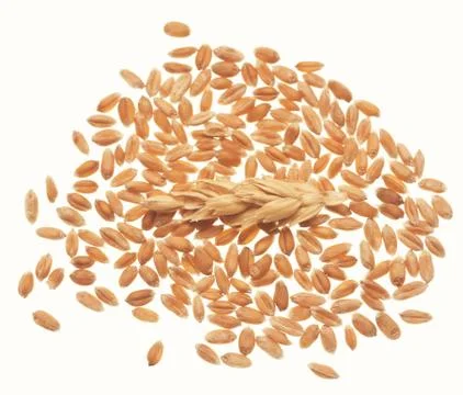 Wheat on white Stock Photos