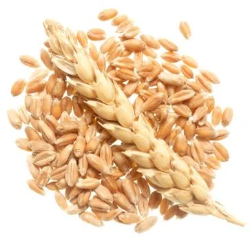 Wheat on white Stock Photos