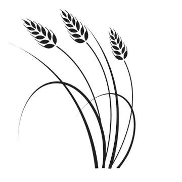 Wheat in the wind Stock Illustration