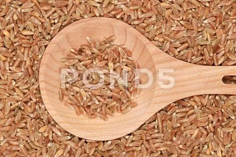 Wheat On A Wooden Spoon