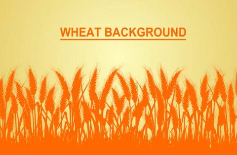 Wheat on the yellow background in the left hand corner has space for text inp Stock Illustration