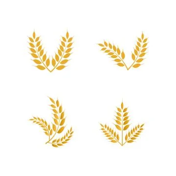 Wheat yellow logo icon template vector Stock Illustration