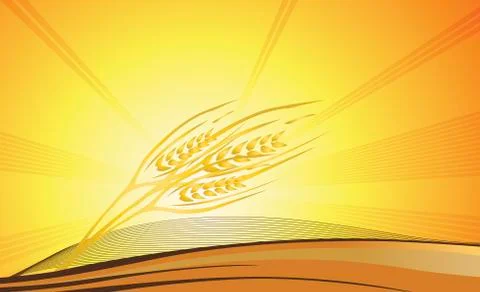 Wheatear Stock Illustration