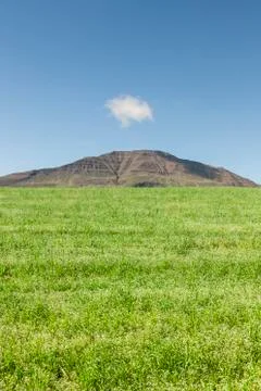 Wheatfield and mountain Stock Photos