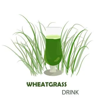 Wheatgrass drink Stock Illustration
