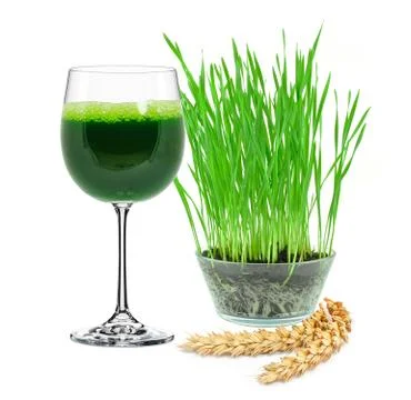 Wheatgrass juice Stock Photos