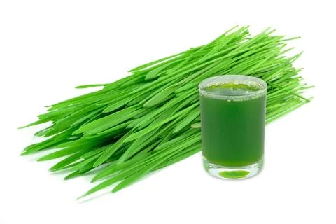 Wheatgrass juice Stock Photos