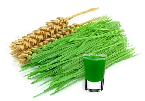 Wheatgrass juice Stock Photos