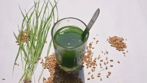 Wheatgrass juice on white background. Stock Footage 268986733