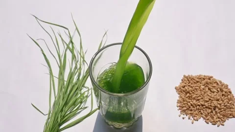 Wheatgrass juice on white background. Stockbeeldmateriaal 268986891