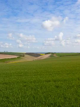 Wheatlands and valley Stock Photos